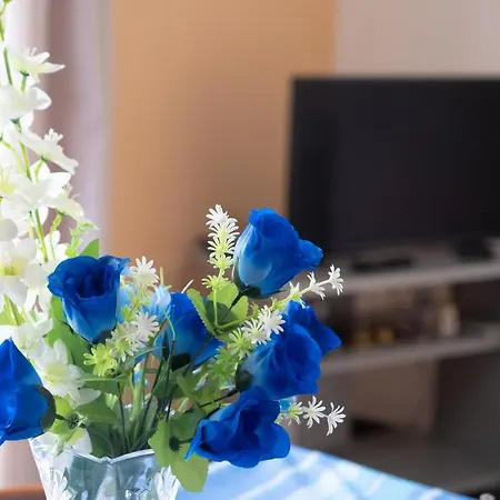 Apartmán Citycentre Mazara *